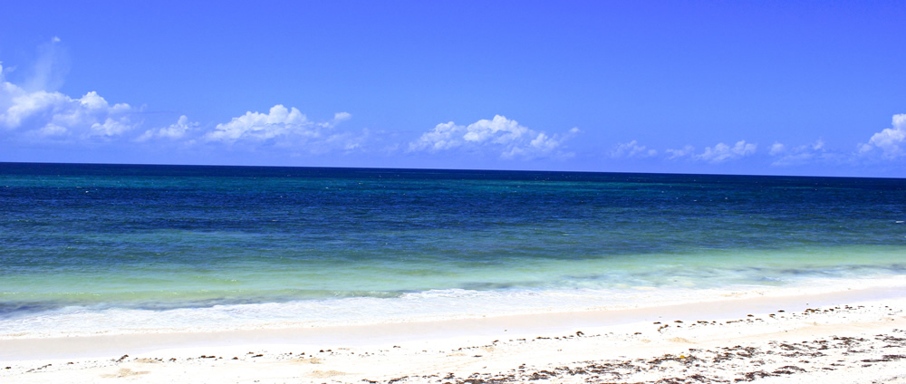 Beach scene